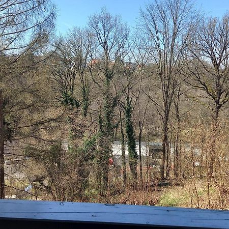 Goldsteig-Einzelzimmer Windischeschenbach Buitenkant foto