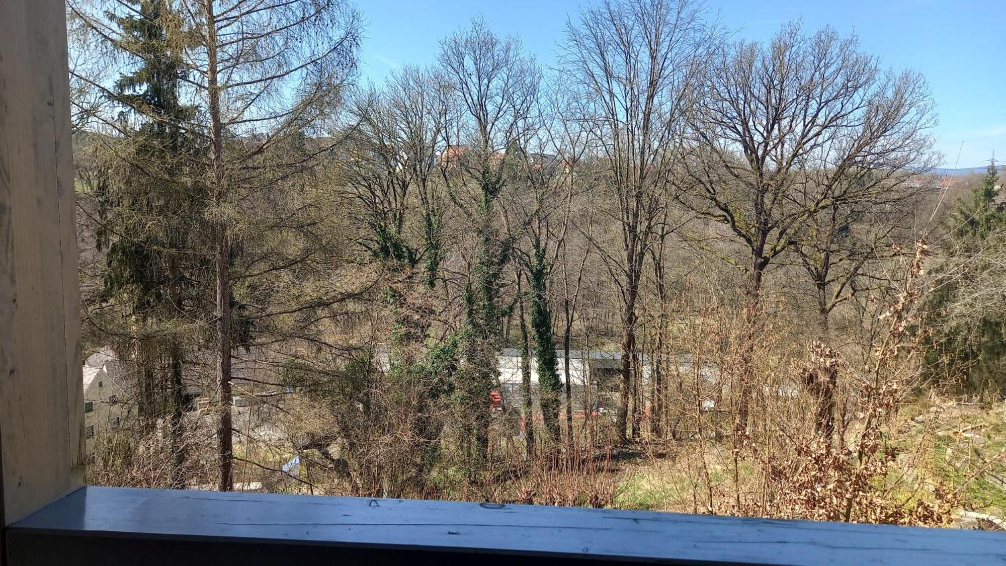 Goldsteig-Einzelzimmer Windischeschenbach Buitenkant foto